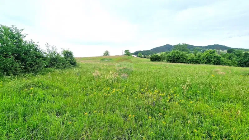Building plot Centar, Pazin, 7.500m2 – 3