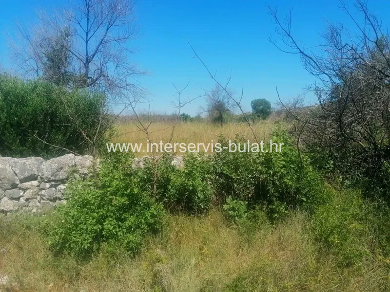Telek Srima – 3