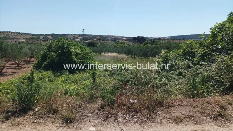 Land Donje Polje – 2