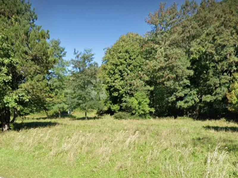 Terreno Lisac, Klana, 5.456m2 – 2