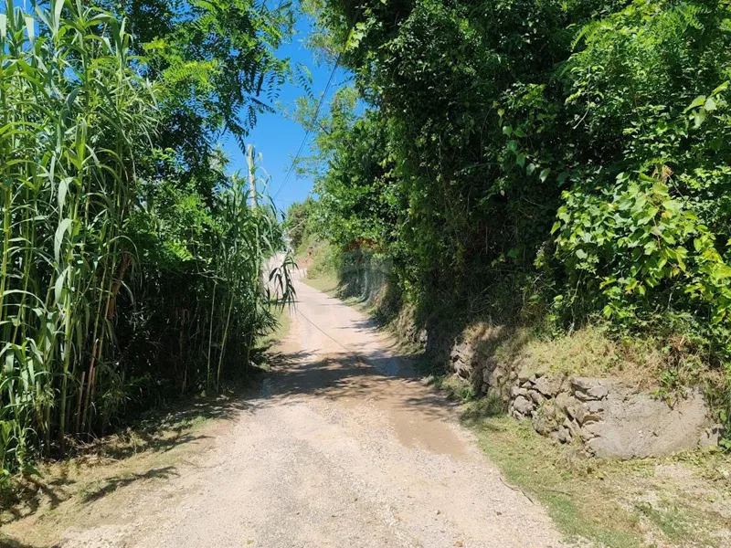 Building plot Lopar, Rab, 716m2 – 2