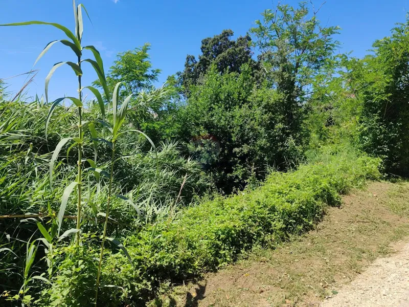 Building plot Lopar, Rab, 716m2 – 3