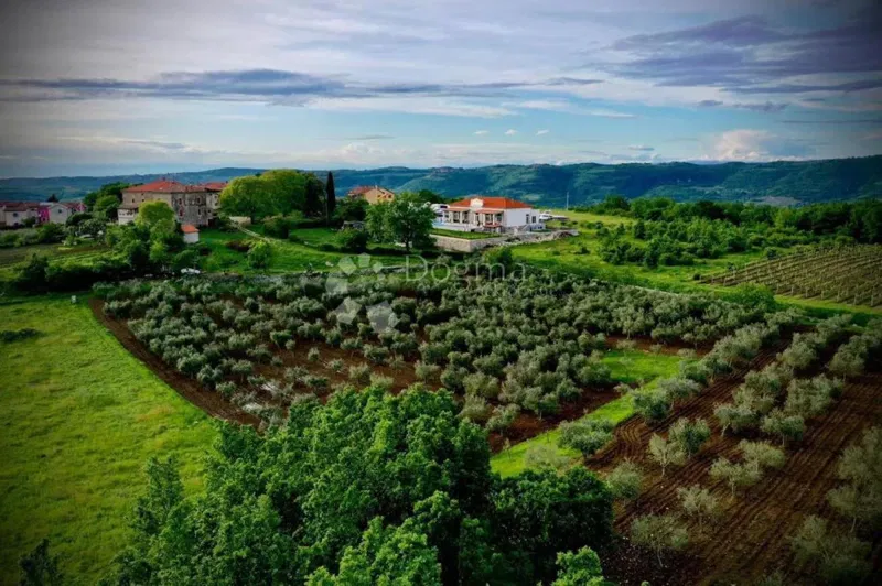 LUSSUOSA VILLA CON VISTA – 2