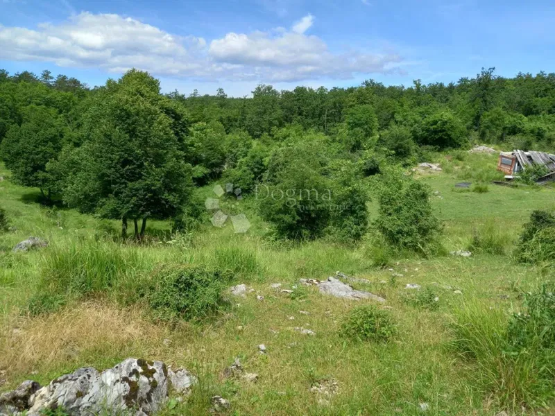 Działka Breza, Klana, 11.797m2 – 2