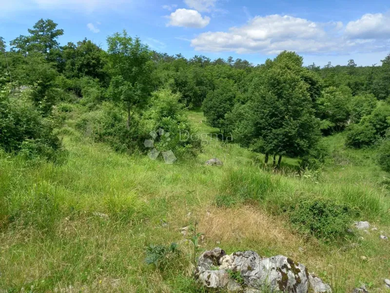 Działka Breza, Klana, 11.797m2 – 3