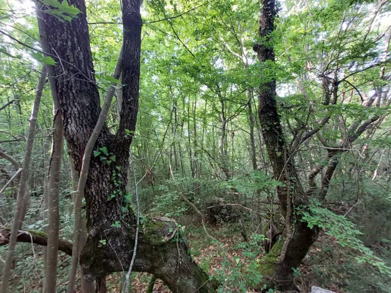 Terreno Labin, 13.056m2 – 2