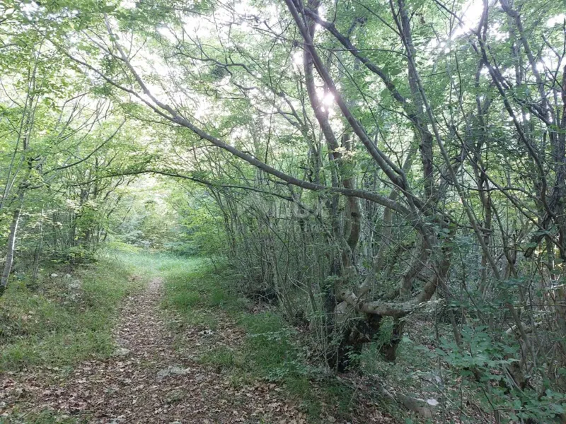 Terreno Labin, 13.056m2 – 3
