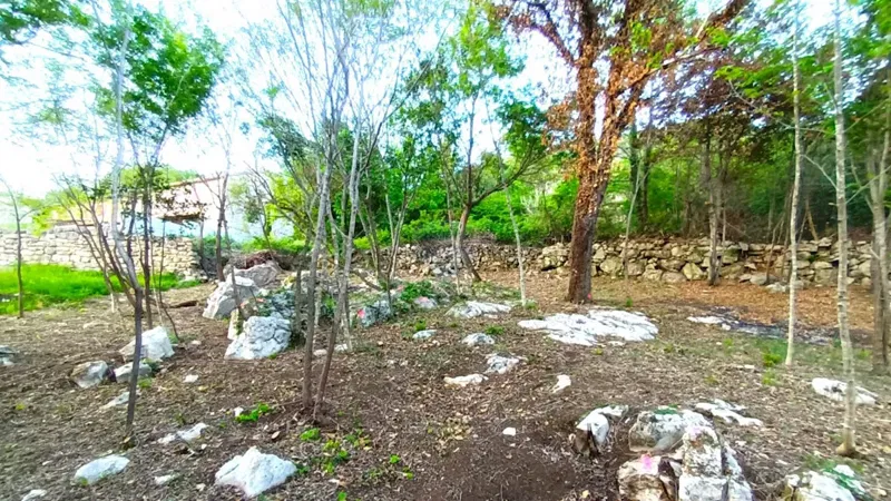 Istra,Lupoglav-Građevinsko zemljište okruženo prirodom