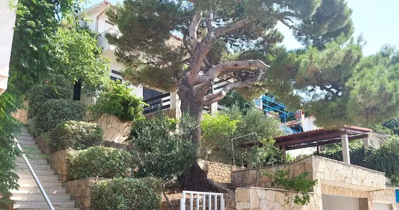 Ház Omiš – 2