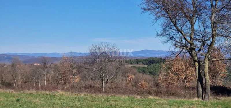 ISTRIA, BARBAN - Building land for investment, open view – 2