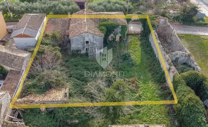 Šišan, Antico per adattamento alla storia medievale – 3