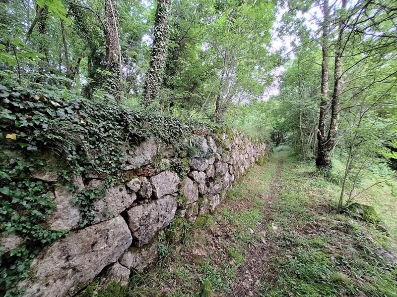 Działka Veprinac – 2
