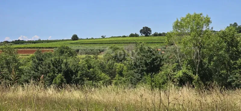 Land Vižinada, 735m2 – 3