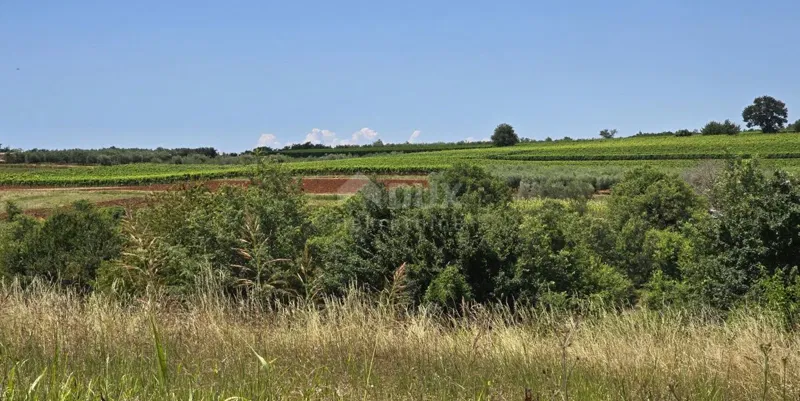 ISTRIA, VIŽINADA - Terreno edificabile con vista aperta – 2