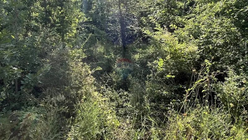Non-structural plot Delići, Sveti Lovreč, 5.119m2 – 2