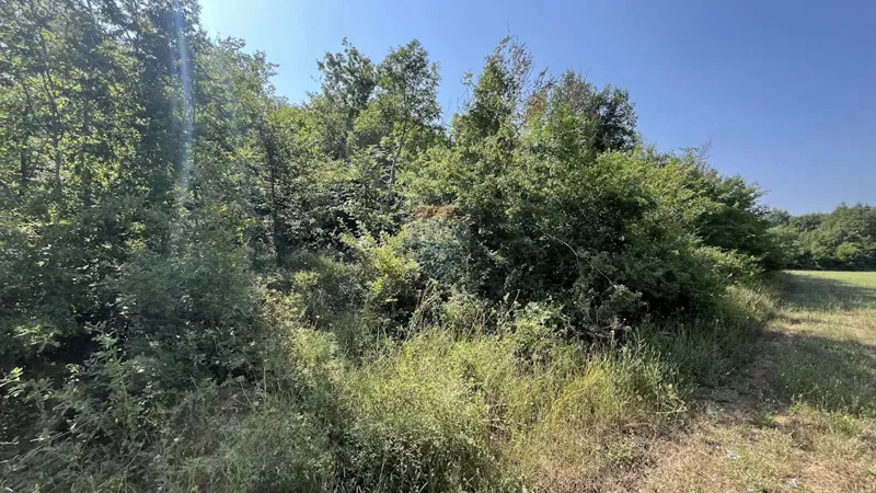 Non-structural plot Delići, Sveti Lovreč, 5.119m2 – 3