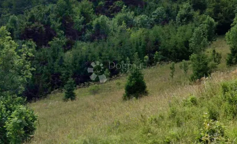 Land Sunger, Mrkopalj, 2.500m2 – 2