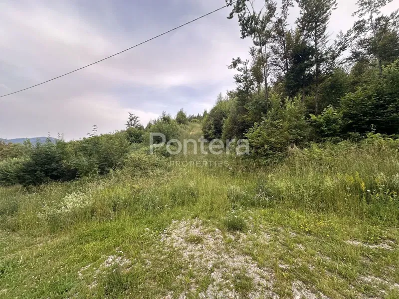 Land Sunger, Mrkopalj, 6.000m2 – 3