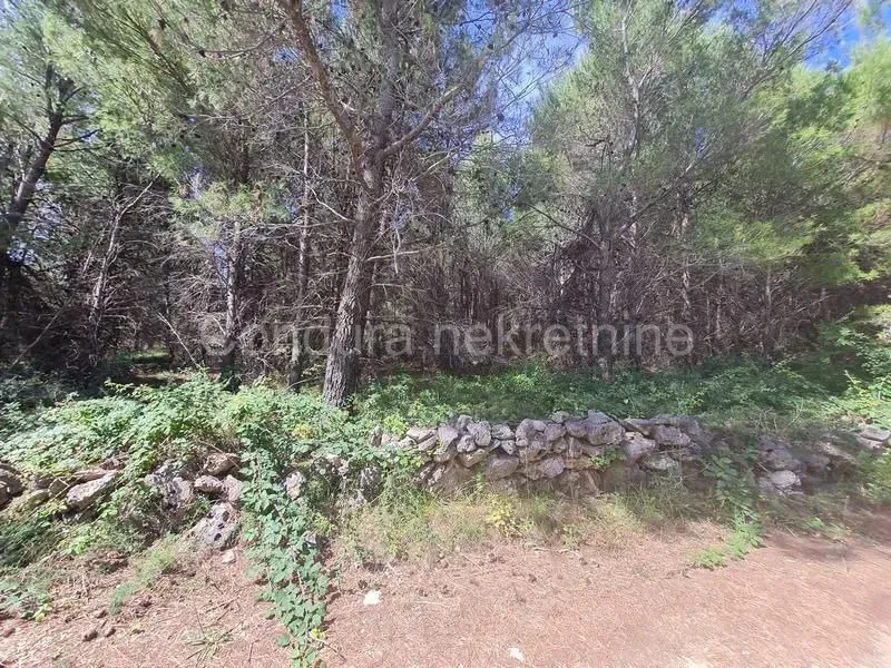 Terreno Vir – 3