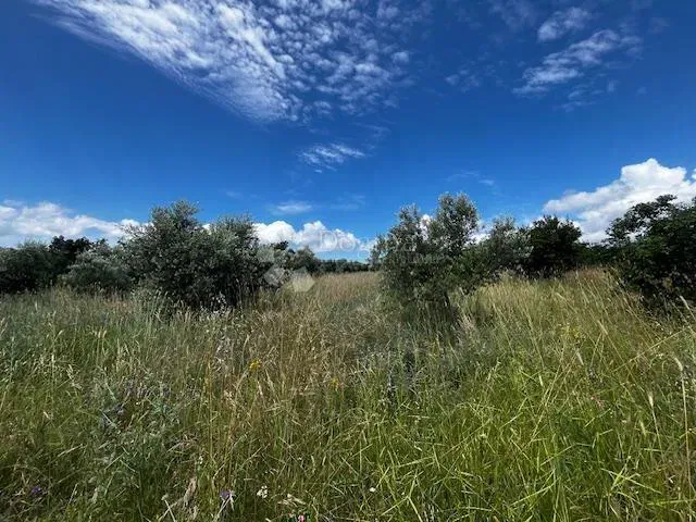 Land Kavran, Marčana, 2.131m2 – 2