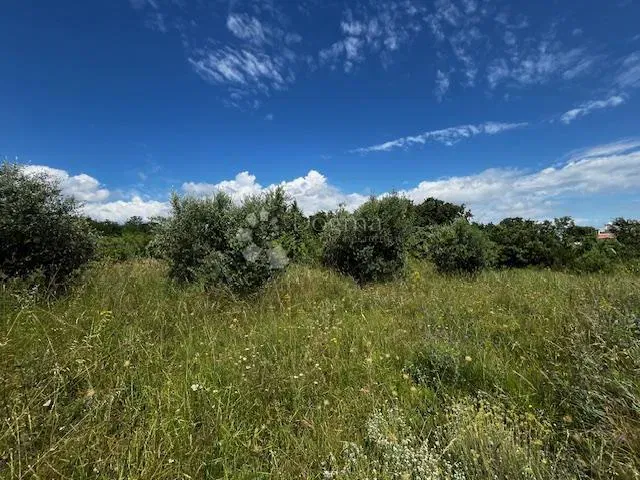 Land Kavran, Marčana, 2.131m2 – 3