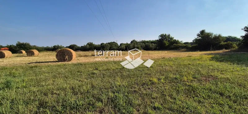 Istria, Canfanaro, terreno edificabile 3292m2, vista panoramica sul mare #vendita – 2