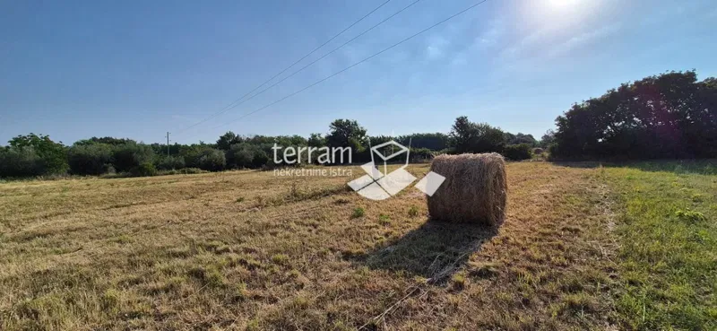 Istria, Canfanaro, terreno edificabile 3292m2, vista panoramica sul mare #vendita – 3