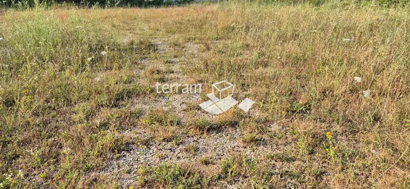 Istria, Canfanaro, Centar, terreno edificabile 3020m2, vista panoramica sul mare #vendita – 3