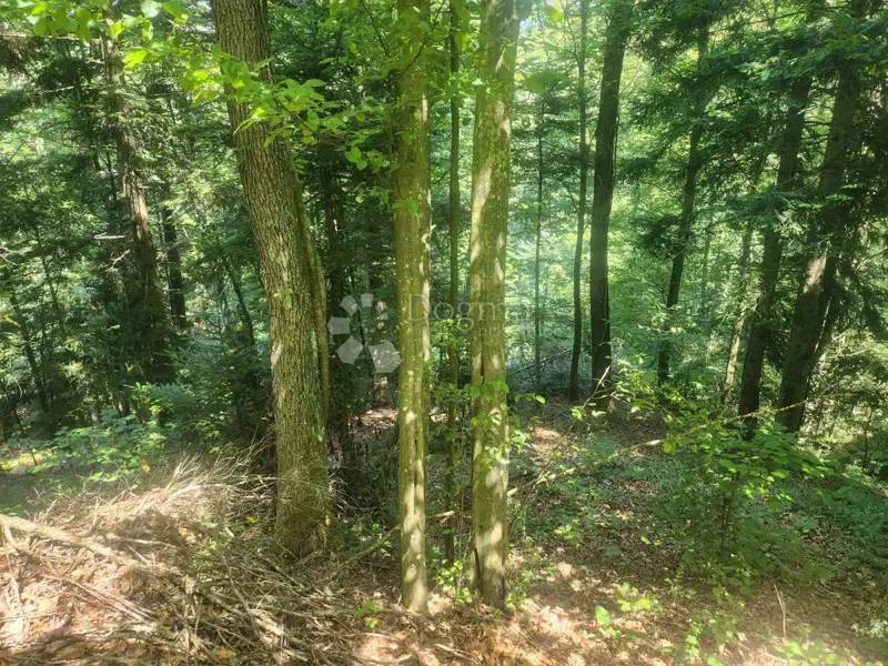 Земля Ježovec, Bednja, 15.966m2 – 3
