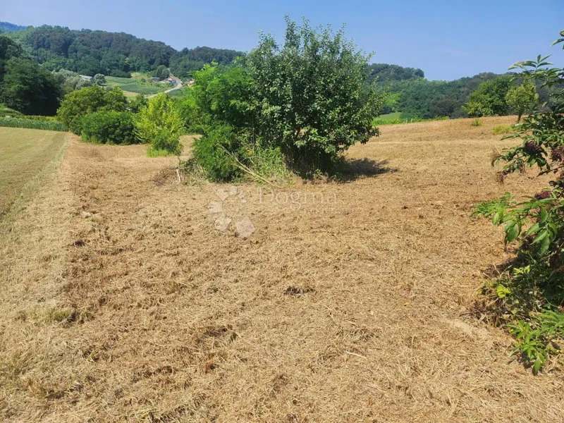 Zemljišče Bušin, Pregrada, 3.697m2