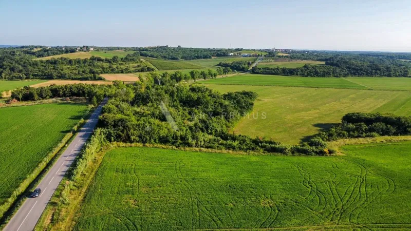 Terreno agricolo in posizione privilegiata, Buje – 3