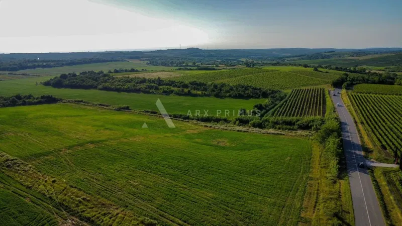 Terreno agricolo in posizione privilegiata, Buje – 2