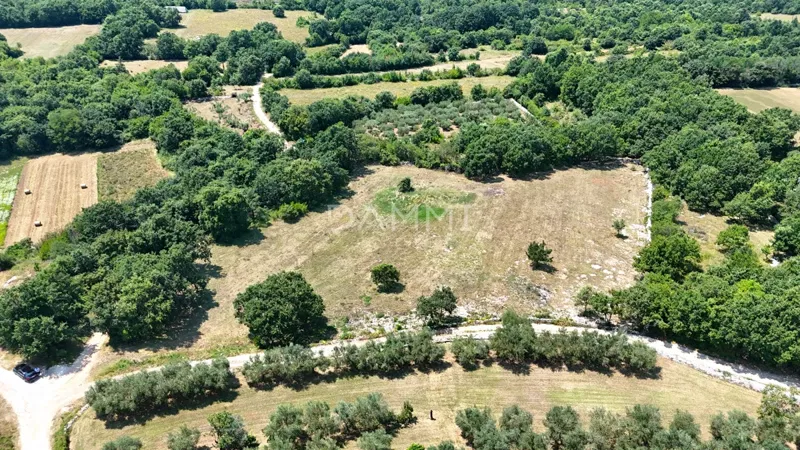 ISTRIA, KANFANAR - LARGE BUILDING LAND IN THE BACKLANDS OF ROVINJ – 3