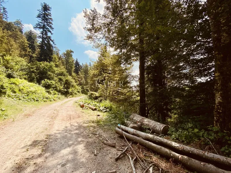 Fužine - Stavebný pozemok 7000 m2 neďaleko jazera – 3