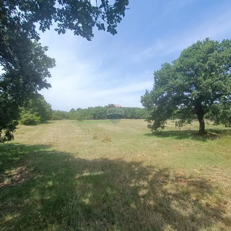 Terreno edificabile Sveti Lovreč, 6.850m2 – 2