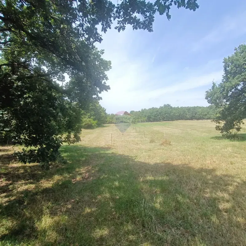 Terreno edificabile Sveti Lovreč, 6.850m2 – 3