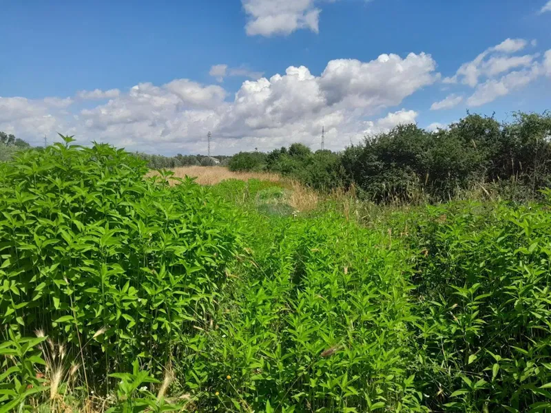 Terreno non edificabile Medulin, 1.654m2 – 2