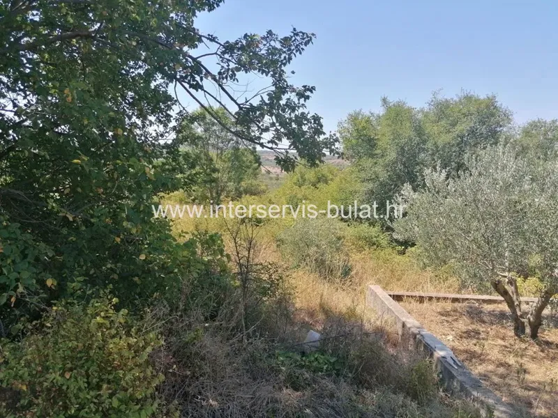 .::: Agricultural land in Donje polje :::. – 2