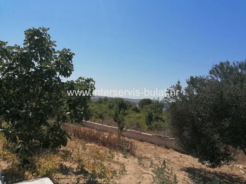 .::: Agricultural land in Donje polje :::. – 3