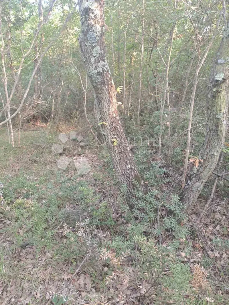 Land Bale, 27.560m2 – 2