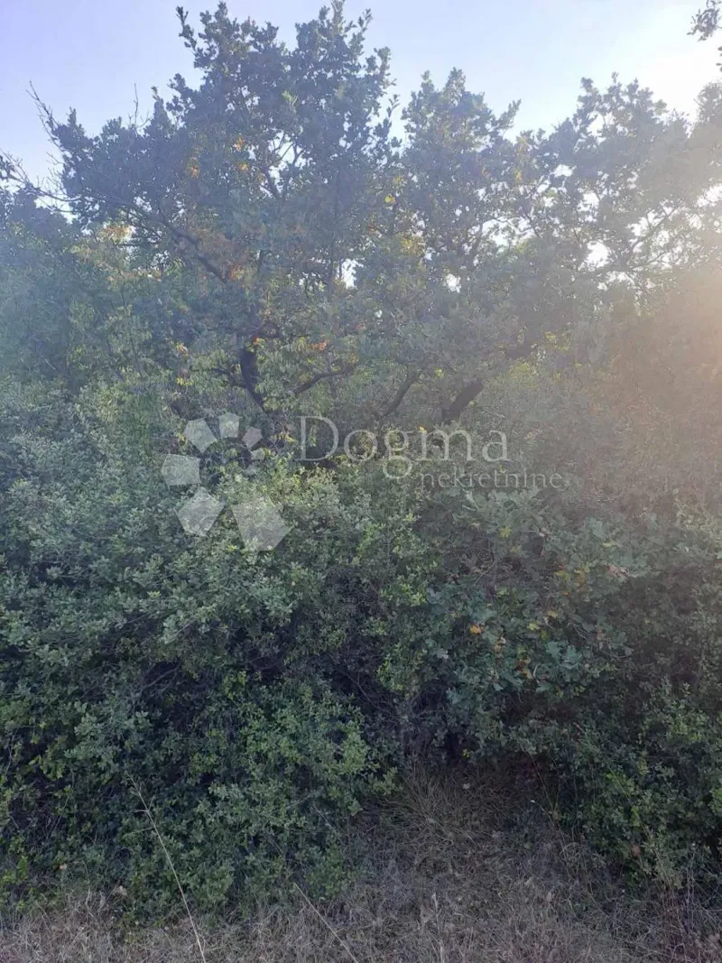 Land Bale, 18.142m2 – 3