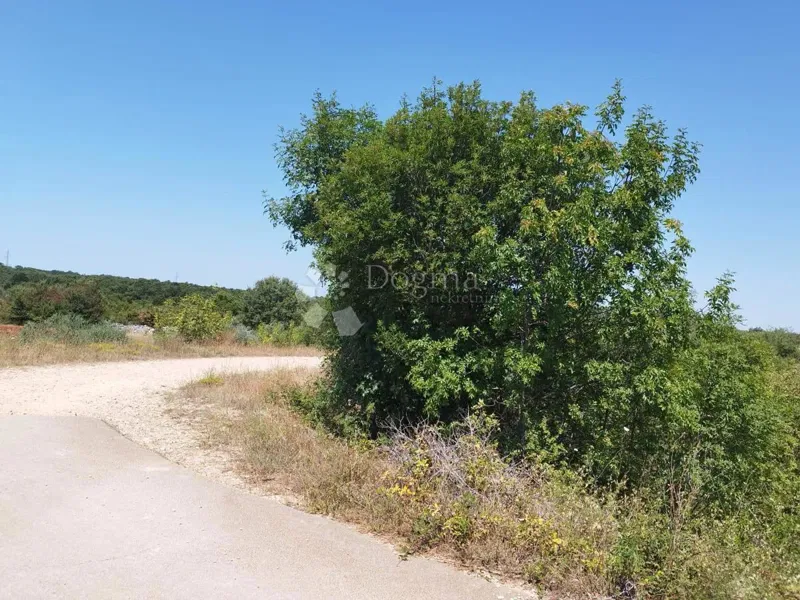 Land Cukrići, Svetvinčenat, 28.212m2 – 3