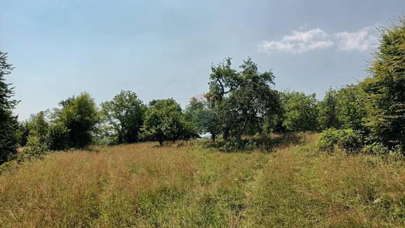 Terreno non edificabile Plemenitaš, Vrbovsko, 7.484m2 – 3