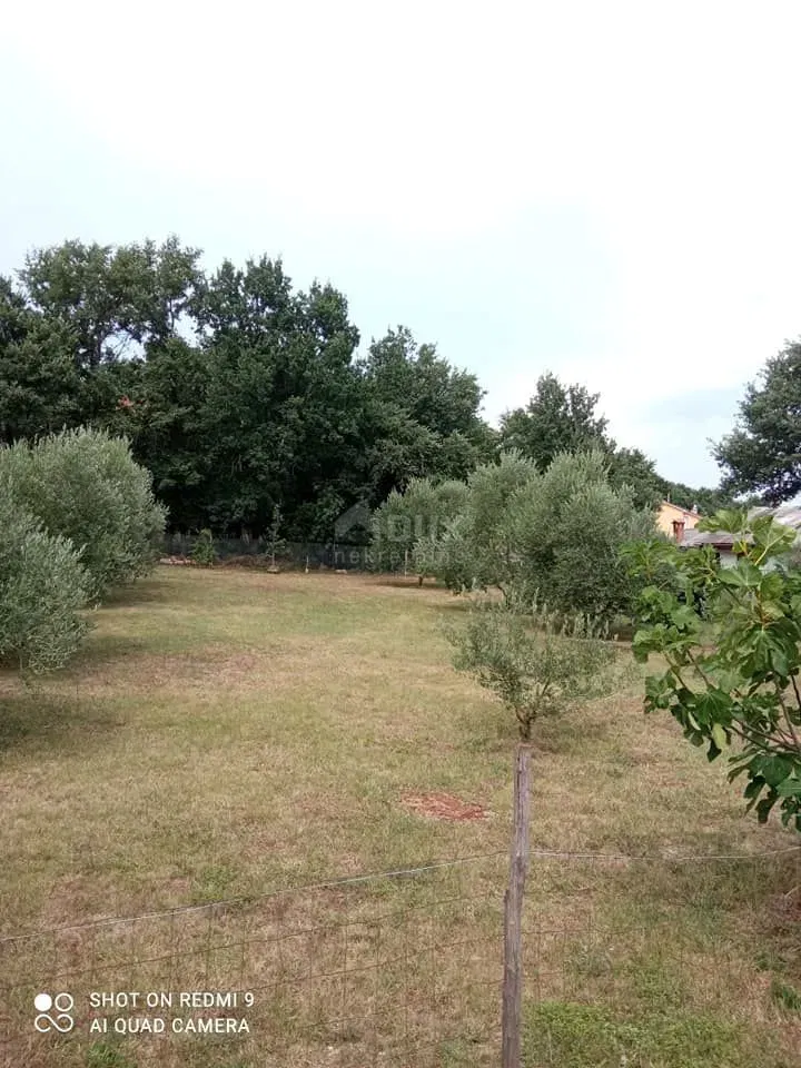 Isztria, Loborika, ház, 50 m2, udvar – 2