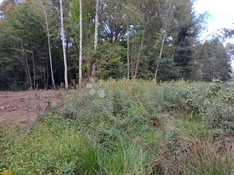 Föld Batinova Kosa, Topusko, 43.000m2 – 3