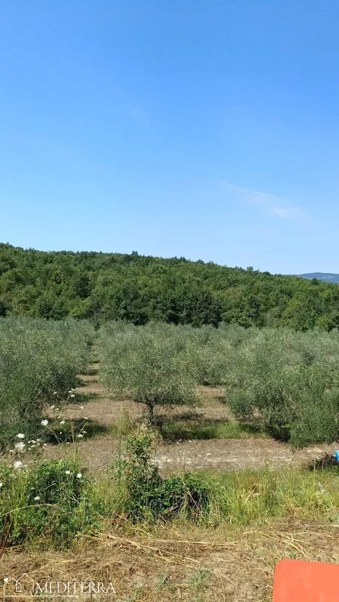 Building land in Vižinada, Istria – 3
