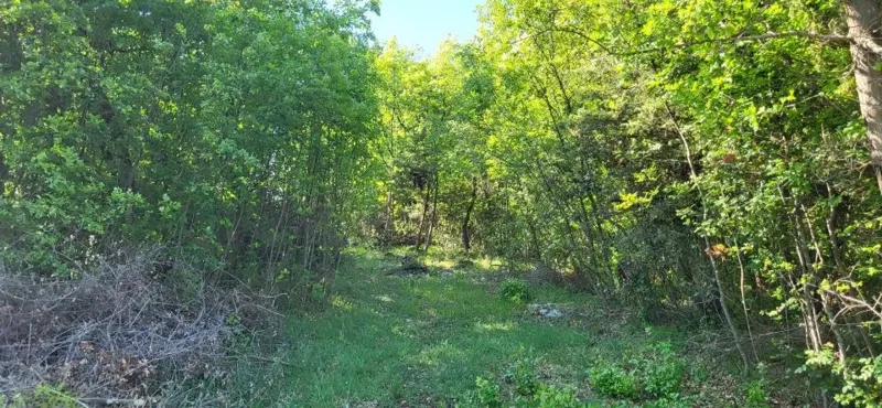 Land Krnica, Marčana, 1.600m2 – 2