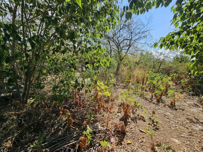 Terreno Donje Raštane, Sveti Filip I Jakov, 1.174m2 – 3