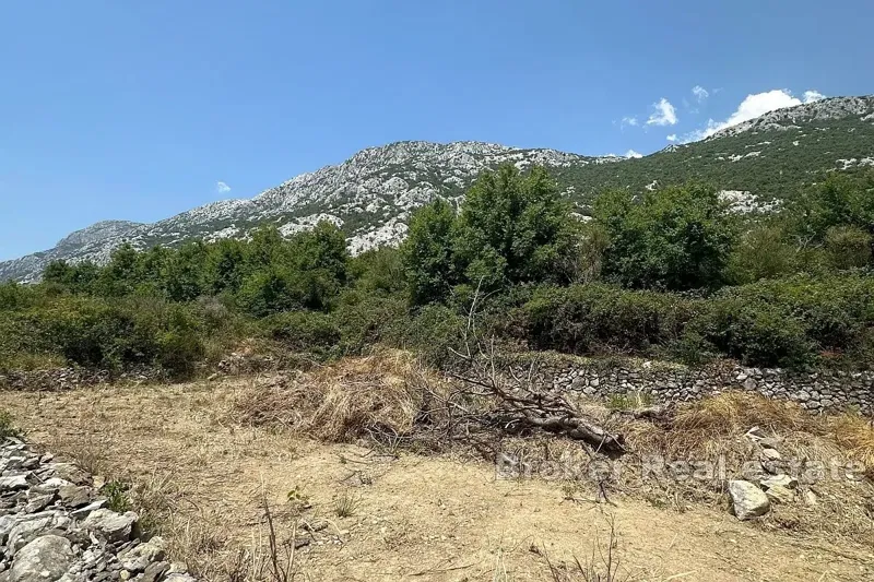 Building land in a quiet location – 3