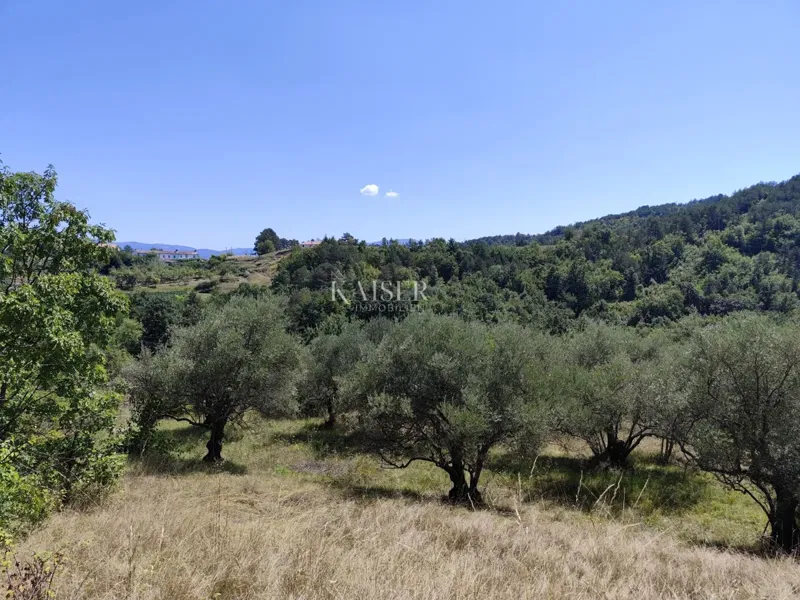 Istria, Buzet - building plot with a view of nature – 2